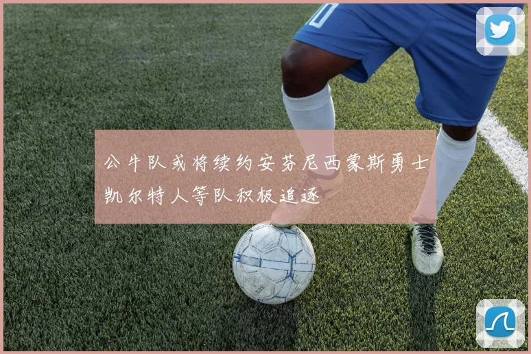公牛队或将续约安芬尼西蒙斯勇士凯尔特人等队积极追逐